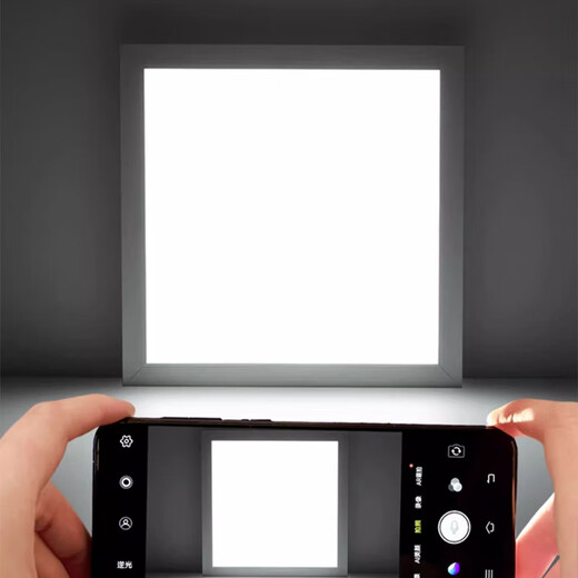 Fanyao 600*600 integrated ceiling light LED panel light kitchen bathroom office building embedded engineering light dual drive-white light-58w