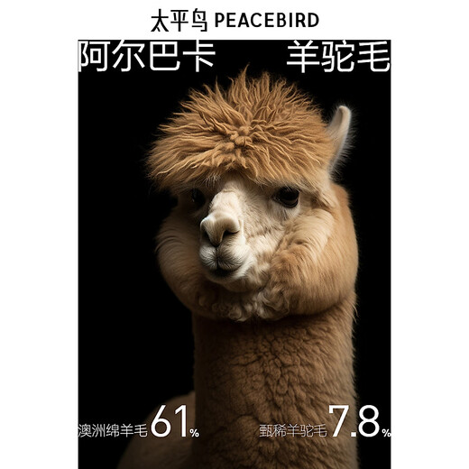 PEACEBIRD Men's Wear Contains Alpaca Wool Stand Collar Woolen Coat Men's Winter Woolen Woolen Coat Dark Gray First Batch L