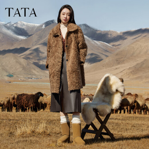 他她（TATA）加绒防滑保暖冬季雪地靴女厚底中筒靴冬WDX14DS3 棕色（半绒半毛） 35