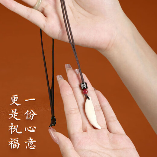 Jinshuitang Black Dog Tooth Necklace Pendant Amulet Baby Children Baby Nightmare Shock Necklace Men and Women's Year of the Life Pendant Single Hole Red Rope Style