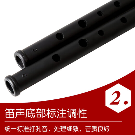 杉贝爱尔兰哨笛初学用成人入门C调D调锡笛亚光树脂磨砂6孔乐器 C调+D调+丰富+教材(套餐更划算)