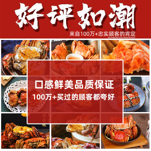 [Certificat-cadeau] Gusu Fisherman's Song Crab Hairy Crab Certificat 9866 Type mâle 6.5 Deux femmes 4.5 Deux quatre paires Crab Coupon Group Achat Boîte-cadeau Carte-cadeau Seafood Aquatic Products