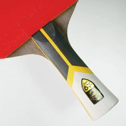 729 Amistad Gold Band 9 Star Racket King Nine Star Table Raquet Professá