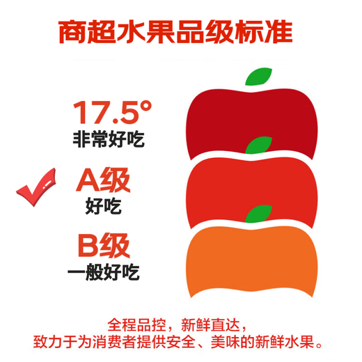 橙都壹号正宗奉节脐橙季生鲜水果伦晚超甜橙子手剥橙新鲜现摘源头直发A 净重4.5-5斤超值装【单果70mm+】