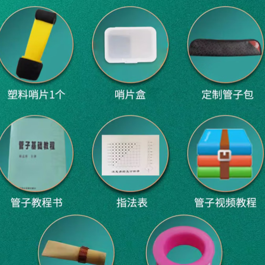 宏艺凤鸣（HongYiFengMing）专业乌木管子乐器催泪管乐器初学者成人专业演奏网红 黄铜箍乌木管子C调+七赠品