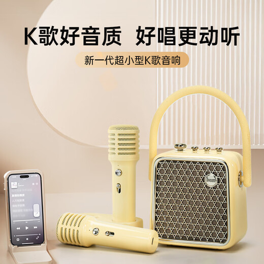 Divoom click sound conspicuous package karaoke speaker with dual microphone sound card all-in-one speaker microphone bluetooth audio home karaoke singing artifact home KTV live broadcast Goddess Day set