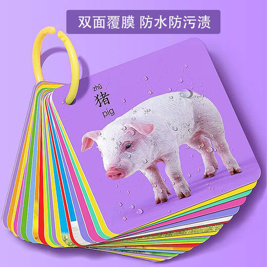 Wenzhi Wenzhi Kinderkarte Baby früh Bildung Kinderfokus kognitiver Training Unterricht AIDS Artefaktkarte Flash -Karte Baby Spielzeug 2 180 Bilder Tiere + Früchte