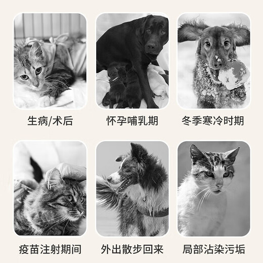 Miishiiem British Mishile Pet Dry Clean Bubbling Bubble Free Warh Acid Foam Определение дезодорации Определение вкусов и бактерий облегчает зуд 400 мл