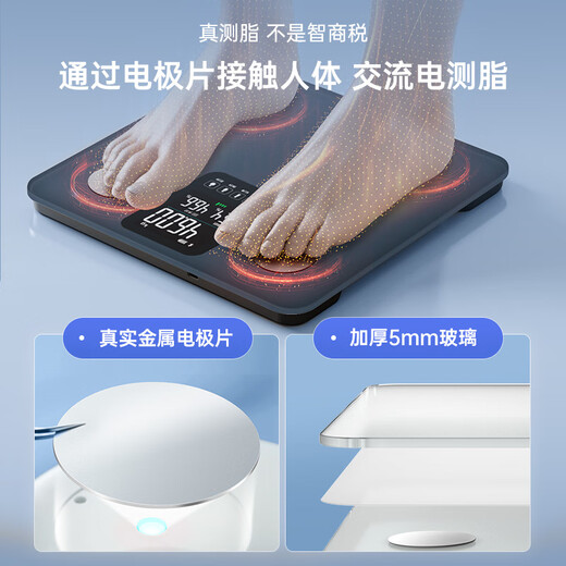 香山 智能体脂秤精准体重秤 大屏显示【Type-C充电款】 电子秤人体家用秤体脂称重 22项核心数据 云汐