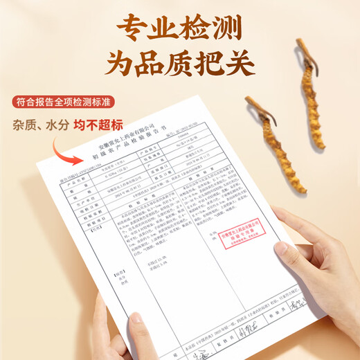 雷允上冬虫夏草冻干虫草冬虫夏草精选品质高洁净虫草送父母送亲友 A32-8g
