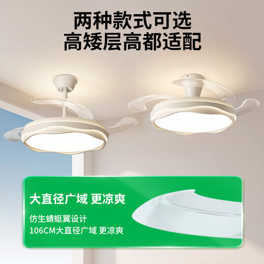 Daguanyuan (DGY) Lüfter helles Schlafzimmer Leicht neuer Stil unsichtbarer Stil, moderner einfacher nordisches Hauptschlafzimmer -Raum -Fan integrierte Lampe 687o Kronleuchter 42 Zoll - Offline -Stimme - 36W - Volles Spektrum
