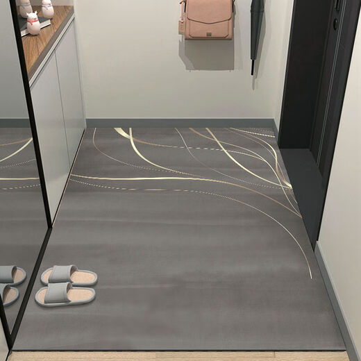 Beiyan entrance floor mat, entrance door mat, door mat, cuttable entrance floor mat, entrance door, water-absorbent anti-slip carpet, light luxury - gray 100cm*120cm