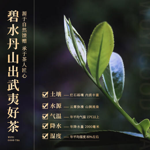 岩语正山堂 武夷岩茶 觅香肉桂 特级茶叶礼盒装 乌龙茶送礼长辈礼品 192g*2盒 （两盒装黑色版赠试泡）