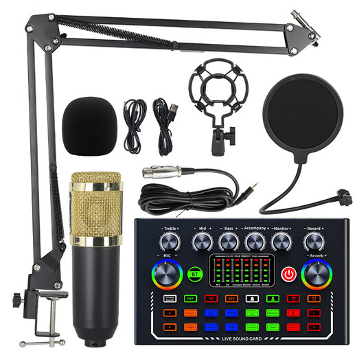 YakultF009 cross-border English version direct BM800 sound card set full set of mobile phone and computer direct singing recording set f009+bm800 gold (cantilever set)