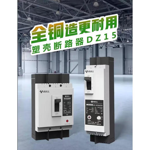 公牛（BULL）公牛BULL空气开关带漏保二相三相电空开开关断路器家用DZ15漏电保 100A 2P