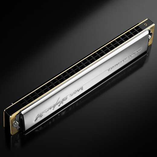 Tongbao Tombo Japan importiert 6624s Mundharmonica 24 Loch Polyphonische C -Melodie -Performance -Anfänger Kinder und ältere 12 Melodie -Set + Klavierbeutel