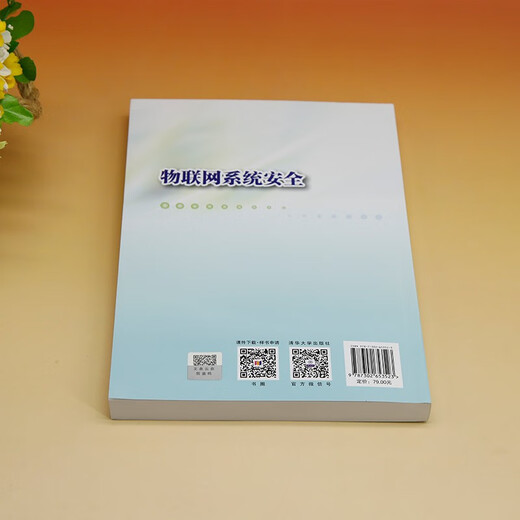 IoT System Security9787302653523yu Zhihao Tsinghua University Press