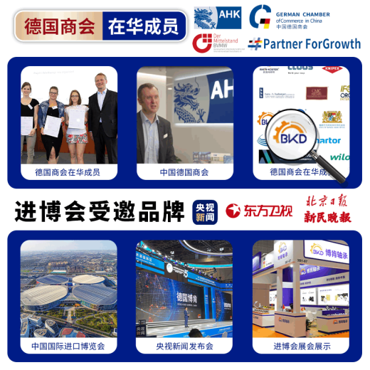 德国BKD进口轴承6201自行车6202专用电动车轴承6203前后轮6204轴承6205RS6206 6205RS/P4胶盖