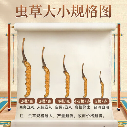 Cordyceps sinensis, 2 1 gram 10 gift boxes for large Cordyceps sinensis dry goods and gifts, 10 pieces [2 1 gram 5 grams]