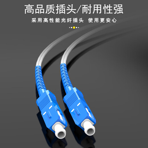 泰盟（TIMON）电信级室内单模双芯皮线光纤跳线SC-SC 2芯2钢丝尾纤低烟无卤光纤入户线50米TM-GP2SM-50M (SC)