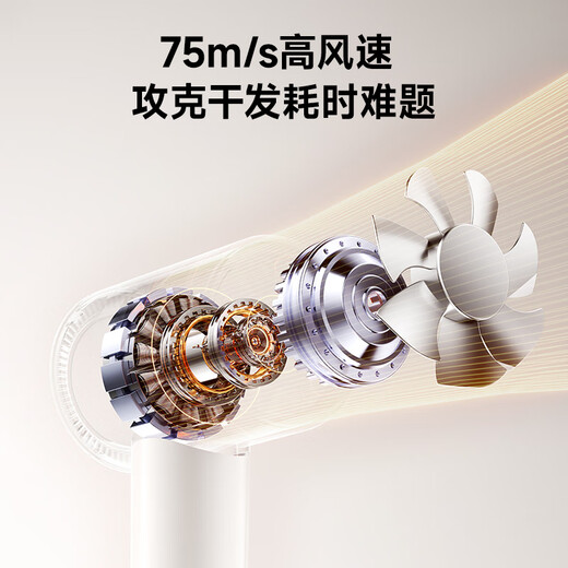 RUAFEE Hair Dryer Home High Speed Plasma Hair Dryer High Power High Wind Hair Dryer Negative Ion Hair Care Low Noise Fast Drying Hair Send Gift National Subsidy Dream Purple