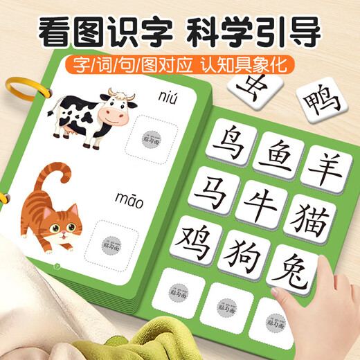 莫肖尔识字早教安静书幼儿3-6岁认字魔术粘贴撕撕书玩具宝宝 【6本套装】身+动+食+自+数+颜色