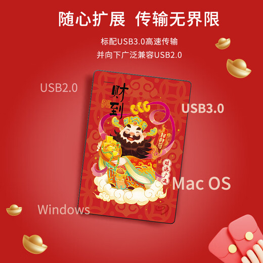 希捷（SEAGATE）移动硬盘机械 简系列 个性彩绘设计款 USB3.0 定制移动硬盘 高速便携 节日生日礼品送礼 兼容MAC 【财到】祝财源广进 2TB 送硬盘包