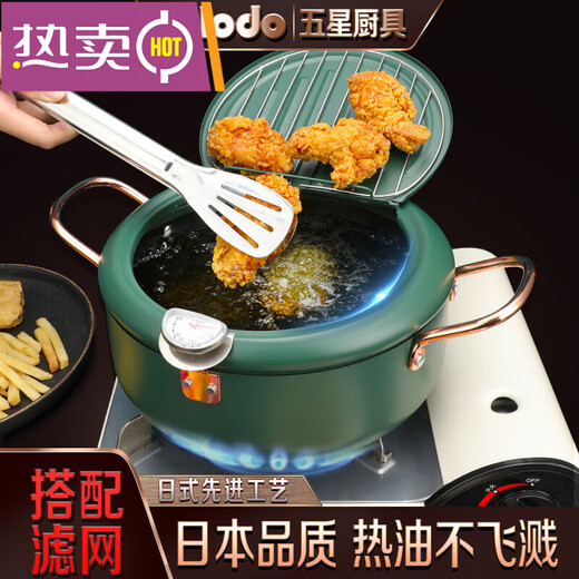 Japanese tempura fryer household small fryer with lid deep fried chicken potato provincial frying oven gas gas 1cm 20cm 2 points 2L natural silver trumpet + 04 filter oil