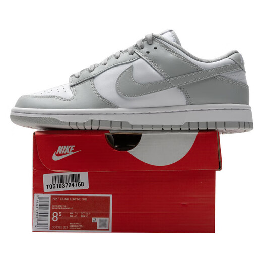 耐克（NIKE）正品男鞋 24秋季新款DUNK透气运动鞋舒适时尚休闲板鞋 DD1391-103 42