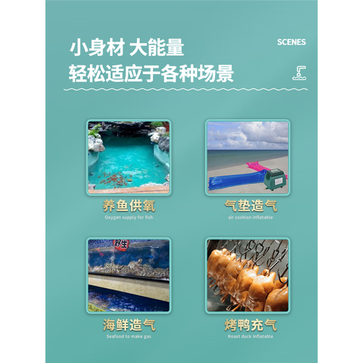 海利海利鱼池氧气泵户外鱼塘增氧机大功率养鱼打氧机鱼缸海鲜池充氧泵 AC0-9720/20W 单泵 适用水深1.2m