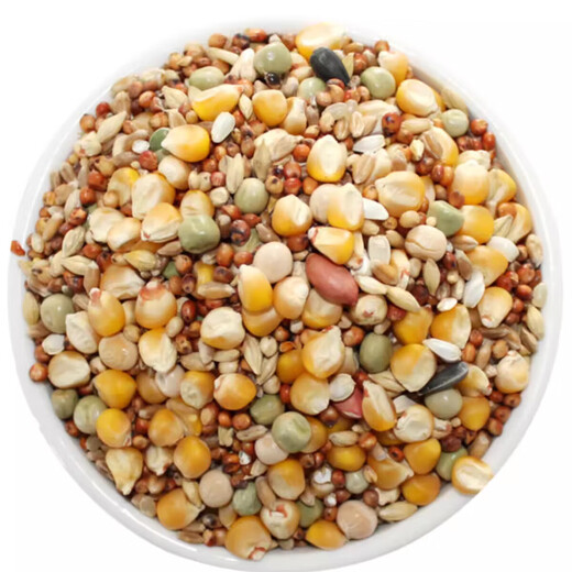 Other horticultural high-quality nutritious pigeon food, meat pigeons, ornamental pigeons, homing pigeons, racing pigeons, Yuanbao pigeons, young pigeon feed, breeding pigeons, pigeon food with corn, 5 Jin Jin is equal to 0.5 kg