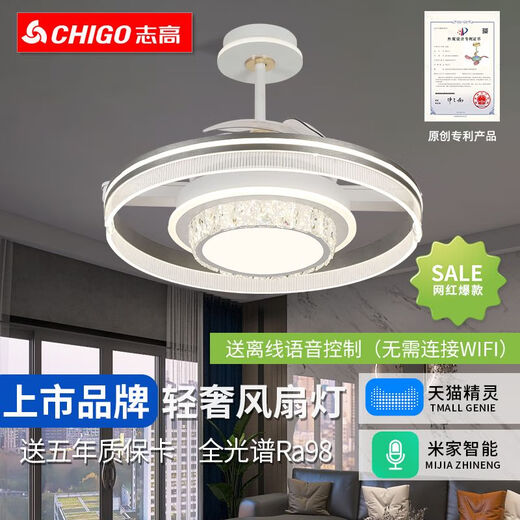 Smart Voice App Light Luxus unsichtbarer Lüfter Licht Schlafzimmer Esszimmer Wohnzimmer Lüfter Licht HP-9758 [Top-Konfiguration] Volles Spektrum RA98 [Smart Model] Elf + Voice +