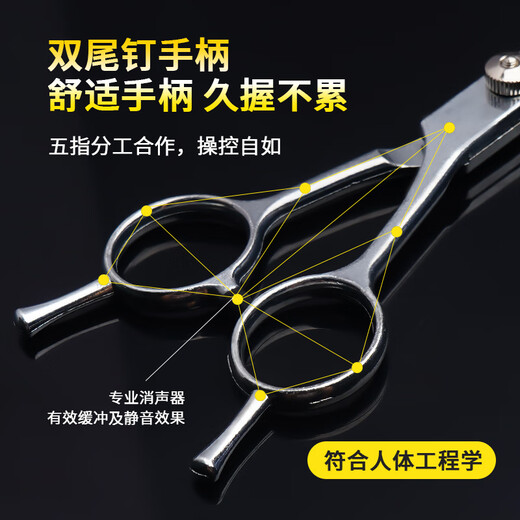 Tanizaki pet scissors set, grooming and styling shearing tools, flat shears, steel combs