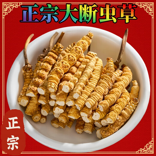 [Traitez l'herbe brisée] Cordyceps sinensis grosse herbe brisée authentique région tibétaine Broken Grass authentiques bien séchées. Nagqu High Altitude Snow Mountain Whole Meat Festival au Tibet 5 grammes Pack