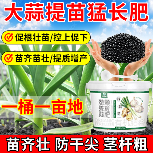 Modern garlic special fertilizer expands, prevents dryness, prevents disease, increases production, strong and high-yielding new fertilizer, 1 barrel, uses 1 mu of land