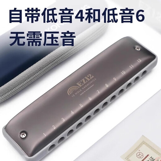 Loch Sound 12 Loch Gesamtskala Blues Harmonica EZ12 Anfänger Tuning Blues harmonica Erwachsener Performance Grad A-Tuning Gold (kein Notwendigkeit, den Klang zu drücken, und mit Bass 46 ausgestattet)