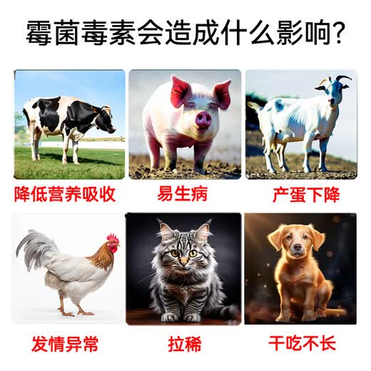 Shan Mu Tang Veterinary Glucose Oxidase Demold Agent Feed Additive for Pigs, Cattle and Sheep Drinkable Water Demold Agent Grass Bacillus Water Soluble 1 Bag