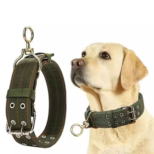 Yile Pet Medium and Large Dog Dog Collar Dog Chain Pet Supplies Dog Collar Collar Collar Medium-sized Dog Golden Retriever Collar Chain 4cm 65cm Double Hole (40-70Jin Jin is equal to 0.5kg)