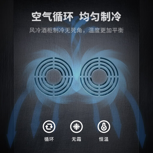 SILIWERE red wine cabinet, constant temperature wine cabinet, home red wine cabinet, living room wine cabinet, custom red wine cabinet, width 800 depth 450 height 2200 champagne gold 2 units 500L exclusive version