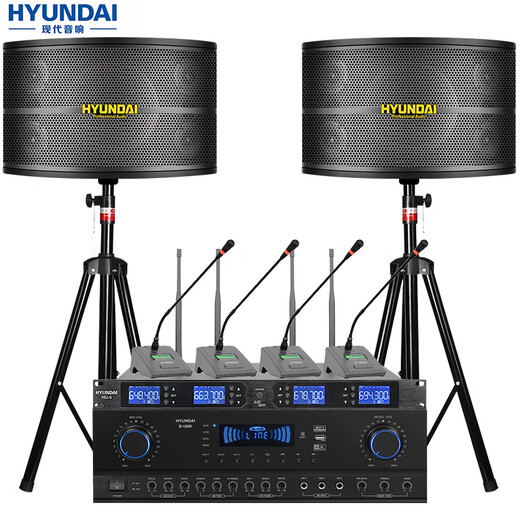 HYUNDAI现代专业会议室音响设备套装蓝牙功放培训教室舞蹈室家庭KTV背景音乐系统壁挂音箱 【两音响/四鹅颈】会议音响套装（50-120平）
