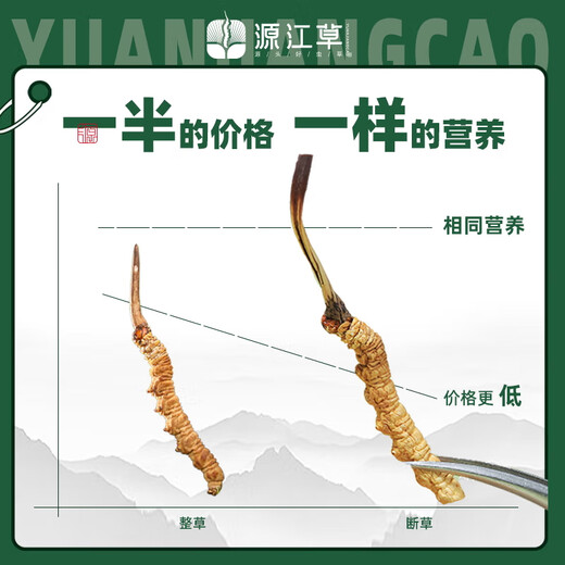 Yuanjiang-Gras, Cordyceps sinensis, Cordyceps sinensis, ausgewählter Cordyceps sinensis, erschwingliches Paket, Nahrungsergänzungsmittel für ältere Menschen, Geschenkbox zur Selbstverwendung, 50 g Cordyceps sinensis, gratis 5 Gramm