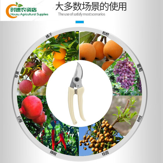 德国进口品质剪树枝专用剪刀园林园艺修枝剪不锈钢修剪树枝 SK5-01白修枝剪+14116:不锈钢橙: