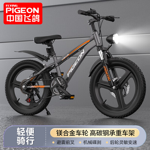 Flying Pigeon Youth Bicycle 6-12-18 Years Old Male and Female Student Competition Grade Mountain Bike Gray 24-inch Transmission Body