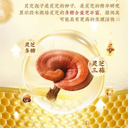 北京同仁堂破壁灵芝孢子粉 增强免疫力成人中老年人手术后恢复营养品灵芝粉 1盒 30g 【买2送1 到手3盒】