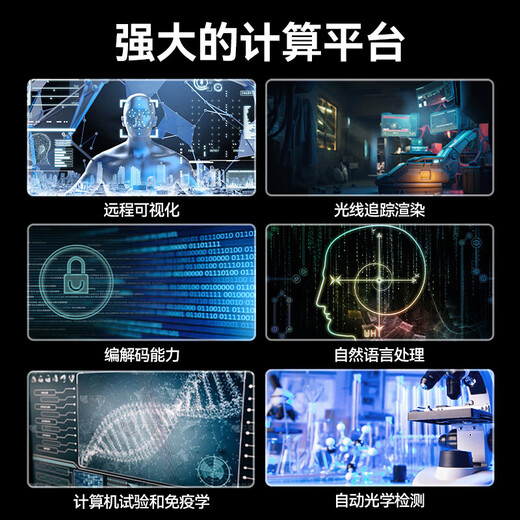 联想服务器主机ThinkSystem SR650 2U机架存储服务器主机 深度学习GPU服务器工作站R740 2个金牌6130（32核 2.1G） 512G丨1.92T*8丨A10-24G