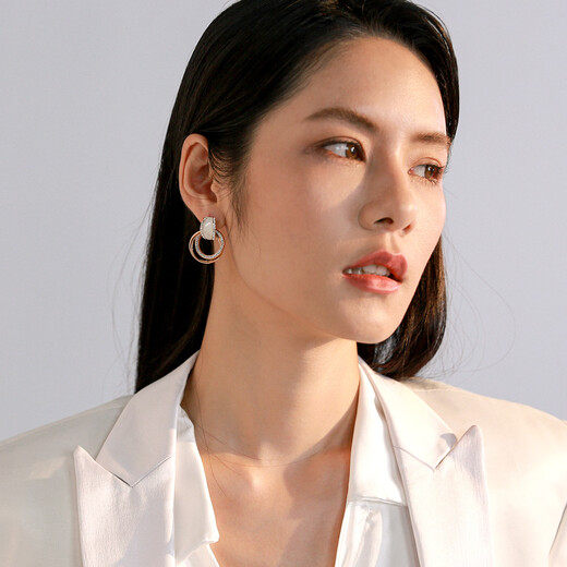 Yalundi earrings silver earrings for women sterling silver niche unique earrings for women 2025 new hot style high-end light luxury temperament earrings