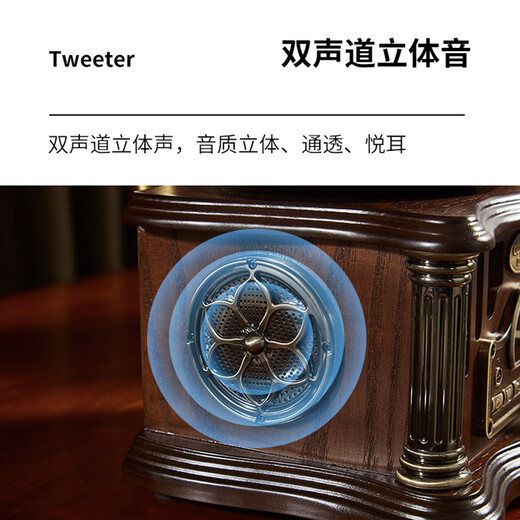 Otieno Antique Vinyl Phonograph Decorative Mini Rechargeable Bluetooth Speaker Retro Birthday Gift Home Ornament Dark Green Plug-in Rechargeable Free Music U Disk