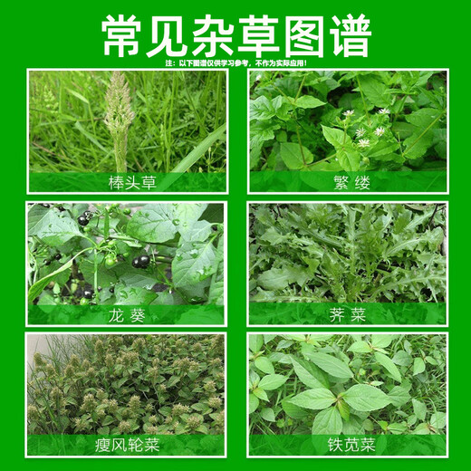 95% Glyphosate Ammonium Salt Rot Eradication Weed Killer Weed Killer Root Rot Agent Garden Courtyard Farmland Orchard Pesticide 4 Groups/8 Packs (95% High Content Weed Rot Rot)