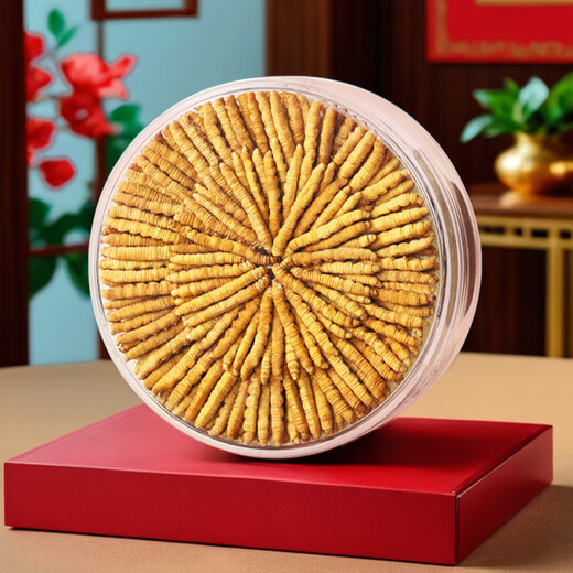 Cordyceps sinensis gebrochenes Gras Höhenhöhe Cordyceps Sinensis Selektion in schneebedeckten Gebieten in tibetischen Gebieten Großes gebrochenes Gras Reine Fleisch Abschnitt getrockneter Cordyceps nahrhafte Cordyceps Sinensis reines Fleisch Abschnitt 5 Gramm