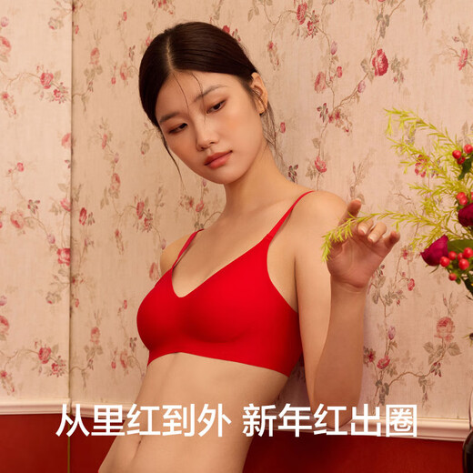There is a tree underwear women's zodiac year of the horse bra set small breasts gathered seamless antibacterial underwear socks Qiji red gift box
